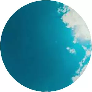 Mike Casey - Musical artist