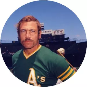 Mike Epstein - American former baseball player