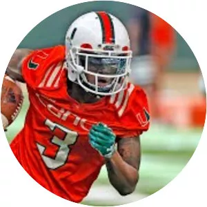 Mike Harley - American football player