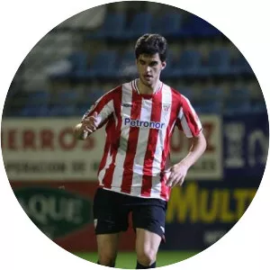 Mikel Santamaría Ciprián