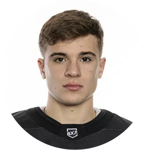 Mikhail Goryunov-Rolgizer