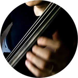 Mikko Pellinen Musician photograph