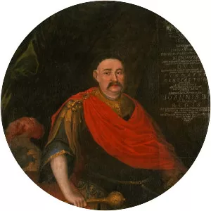 Mikołaj Hieronim Sieniawski - Polish Politician