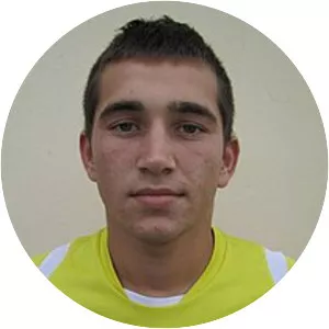 Milan Radin - Serbian footballer