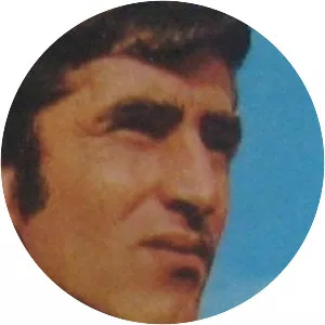 Milenko Bajić