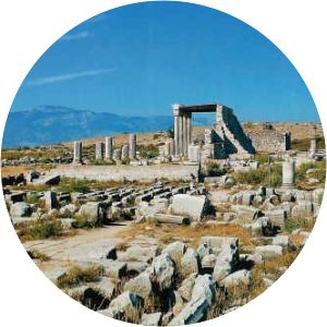 Milesian school photograph