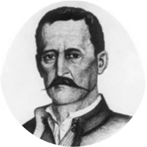 Milić Drinčić - Revolutionary