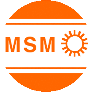 Militant Socialist Movement