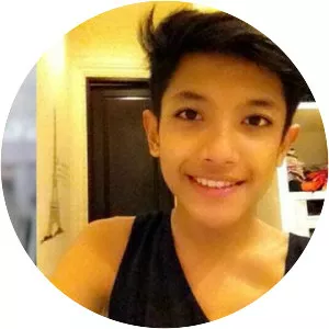 Millen Cyrus - Musical artist