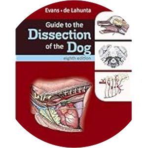 Miller's Guide to the Dissection of the Dog