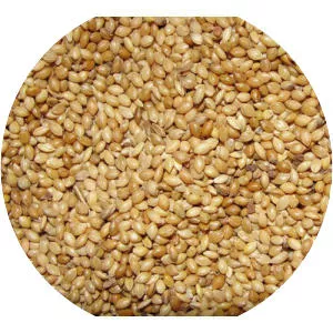 Millet - 
