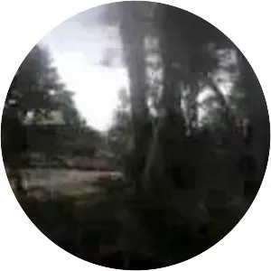 Millicent Rogers Museum