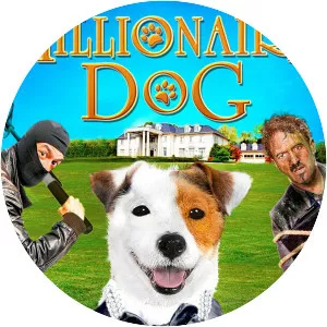 Millionaire Dog