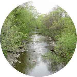 Mimico Creek - Stream in Canada