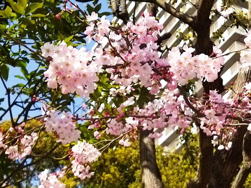 Minamisuna Yonchome Park