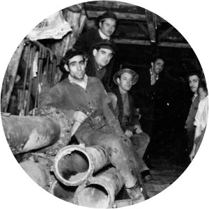 Minatori - Musical artist