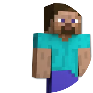Minecraft Steve - Musical artist