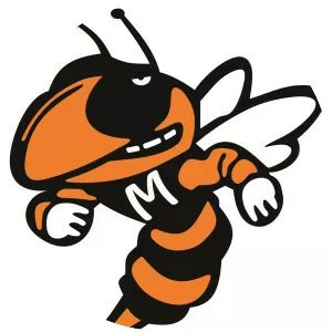 Mineola Independent School District - 