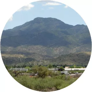 Mingus Mountain