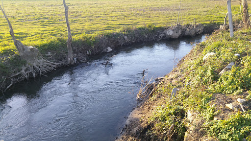 Mini-Mercado Quinta Da Botica, Lda.