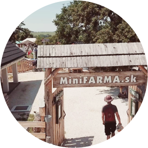 MiniFARMA