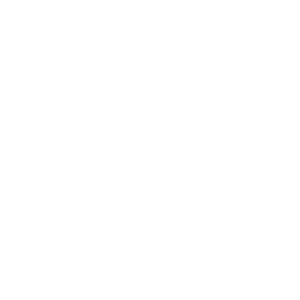 Ministry of Labour and Social Policies