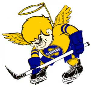 Minnesota Fighting Saints