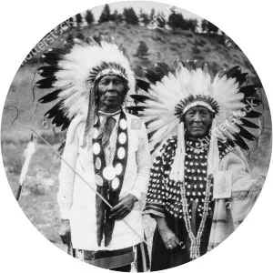 Minnie Hollow Wood - 