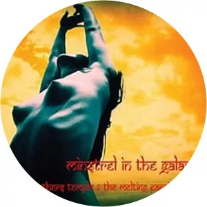 Minstrel in the Galaxy