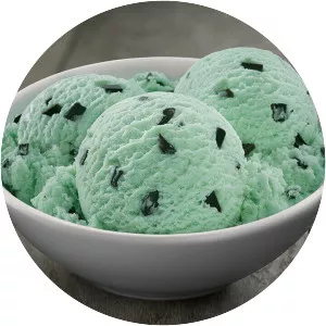 Mint chocolate chip - Food