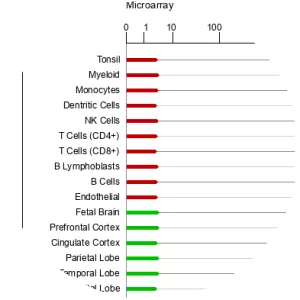 MIP Musician - Musical artist