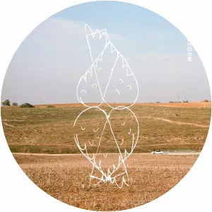 MIQEDEM - Musical artist