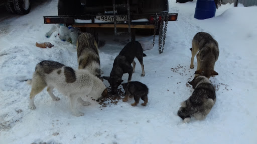 Mir Gruntov - Dirt supplier