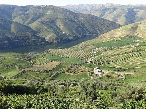 Mira_Chanceleiros - Hiking area in Portugal