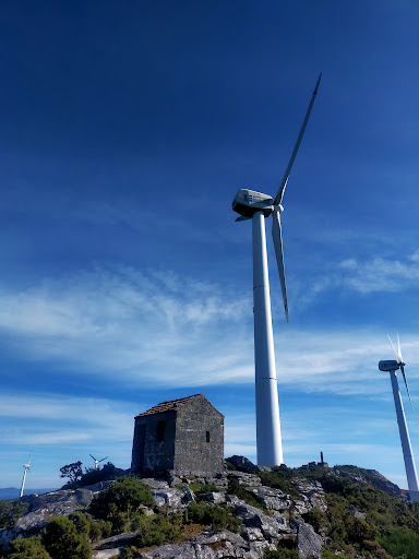 Miradoido da Torre de Enxerto