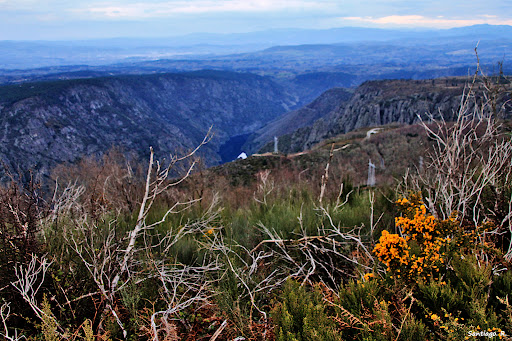 Miradoiro De Meda