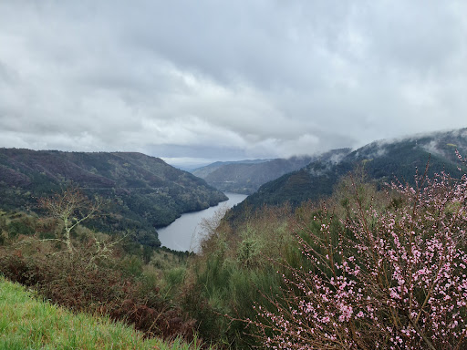 Miradoiro de Pesqueiras