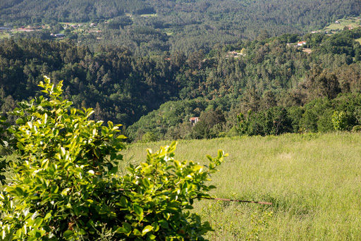 Mirador de Carboeiro