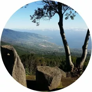 Mirador Llano de Las Ventas