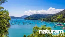 Mirante do Saco da Ribeira