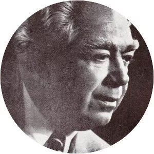 Mircea Ștefănescu - Writer