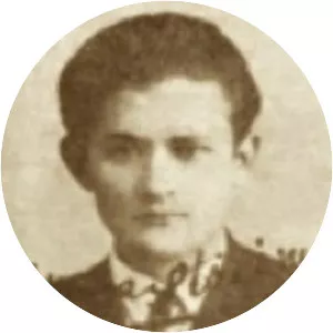 Mircea Streinul