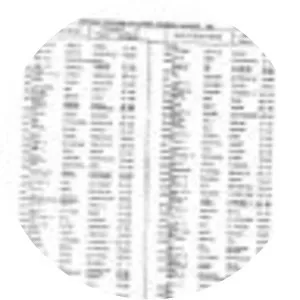 Mirjana Vicentijevic Zaric