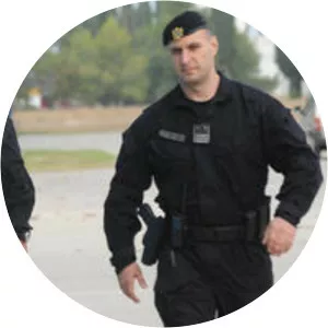 Mirko Banovic - Musician