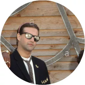 Mirko Limoni - Musical artist