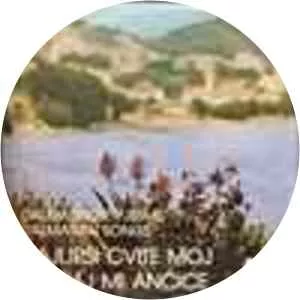 Miro Crnko - Musical artist