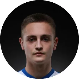 Miroslav Petrlak - Football player