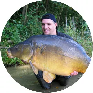 Mirror carp photograph