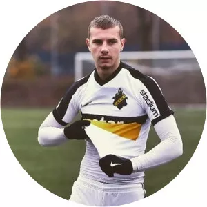 Mirza Hasanbegovic - Swedish footballer