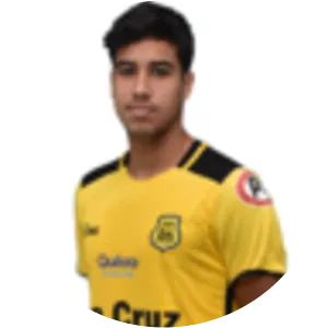 Misael Benjamin Llantén Letelier